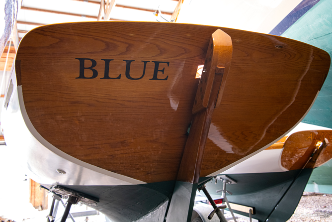 BLUE – Fish class